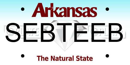 SEBTEEB Arkansas License Plate