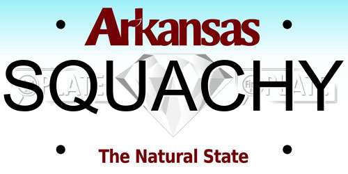 SQUACHY Arkansas License Plate