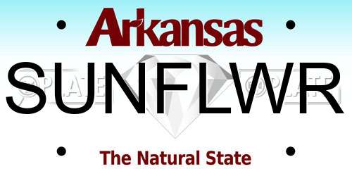 SUNFLWR Arkansas License Plate