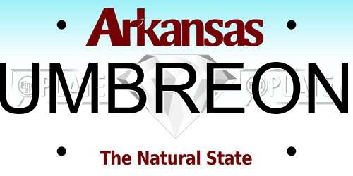 UMBREON Arkansas License Plate