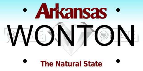 WONTON Arkansas License Plate