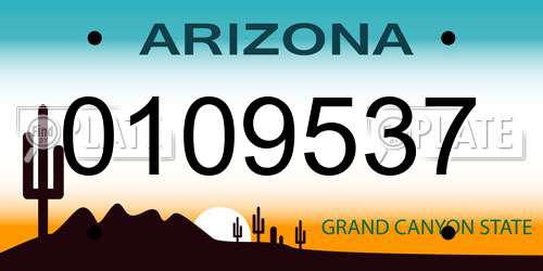 0109537 Arizona License Plate