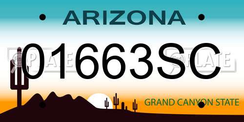 01663SC Arizona License Plate