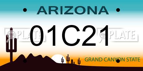 01C21 Arizona License Plate