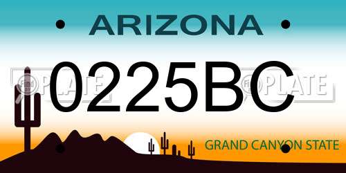 0225BC Arizona License Plate