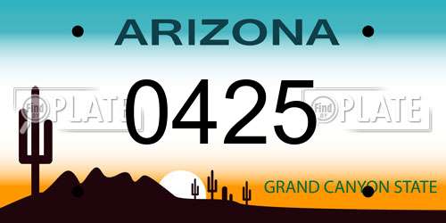 0425 Arizona License Plate