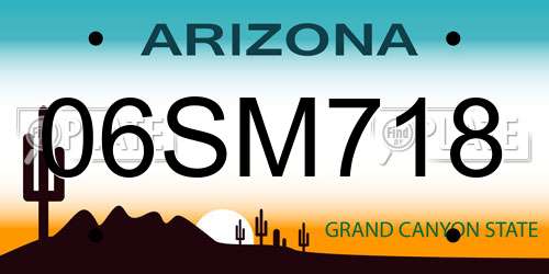 06SM718 Arizona License Plate