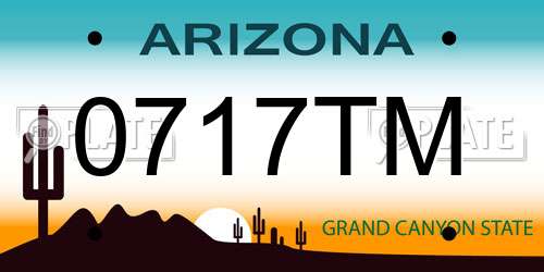 0717TM Arizona License Plate