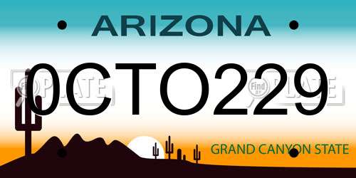 0CTO229 Arizona License Plate