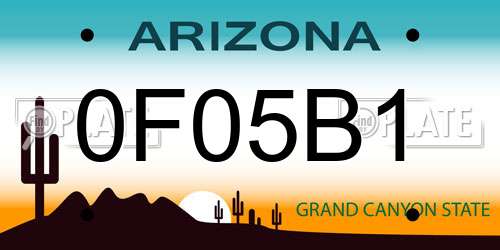 0F05B1 Arizona License Plate