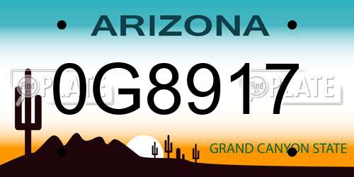 0G8917 Arizona License Plate