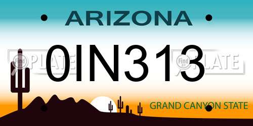 0IN313 Arizona License Plate