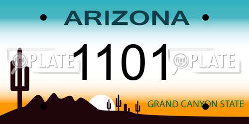 1101 Arizona License Plate