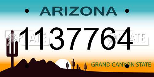 1137764 Arizona License Plate