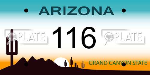 116 Arizona License Plate