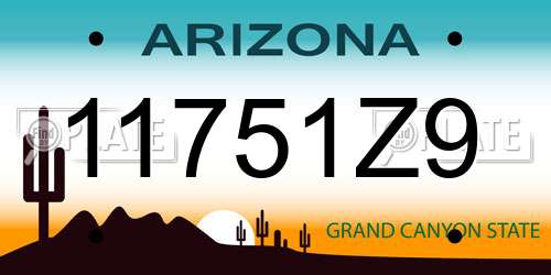 11751Z9 Arizona License Plate