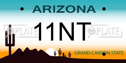 11NT Arizona License Plate