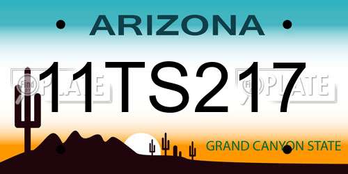 11TS217 Arizona License Plate