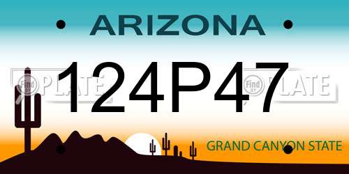 124P47 Arizona License Plate