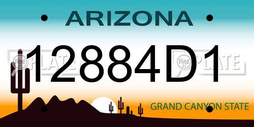 12884D1 Arizona License Plate