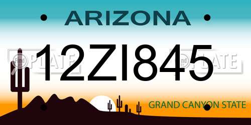 12ZI845 Arizona License Plate