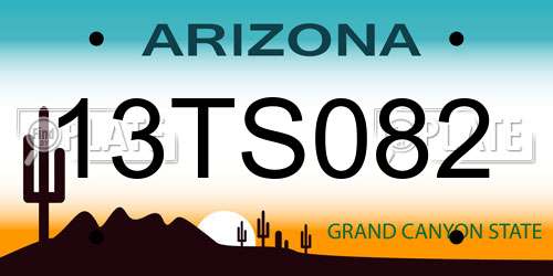 13TS082 Arizona License Plate