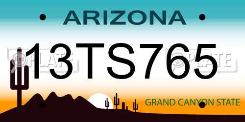 13TS765 Arizona License Plate