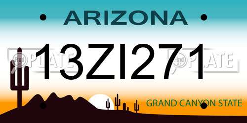 13ZI271 Arizona License Plate