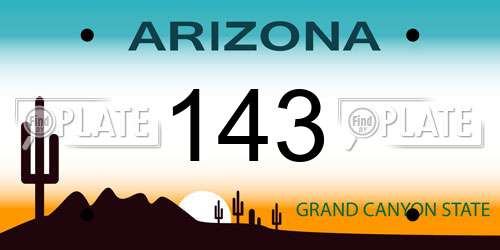 143 Arizona License Plate