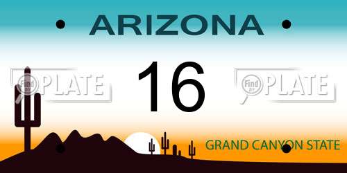 16 Arizona License Plate