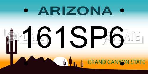 161SP6 Arizona License Plate