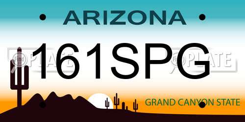 161SPG Arizona License Plate