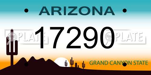 17290 Arizona License Plate