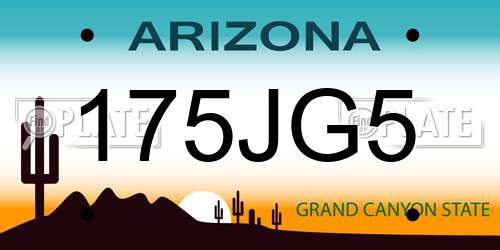 175JG5 Arizona License Plate