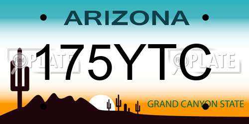 175YTC Arizona License Plate