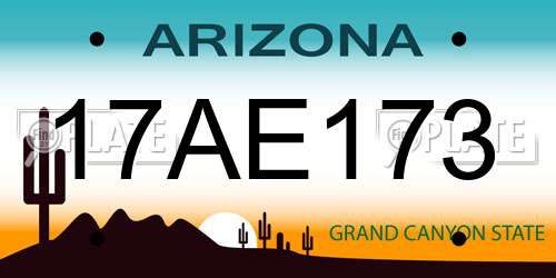 17AE173 Arizona License Plate