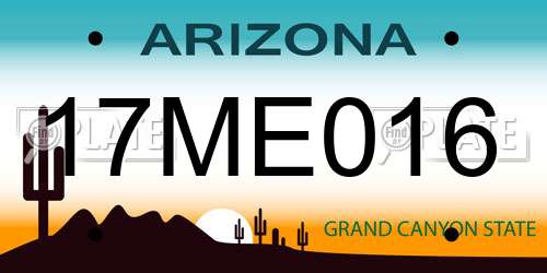 17ME016 Arizona License Plate