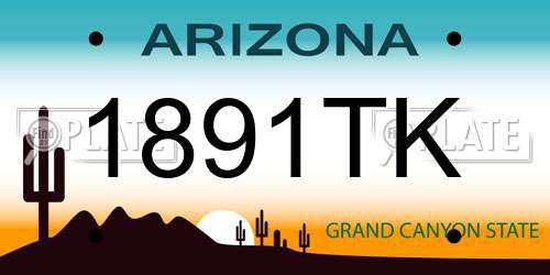 1891TK Arizona License Plate