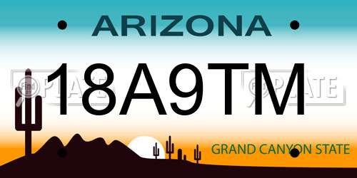 18A9TM Arizona License Plate