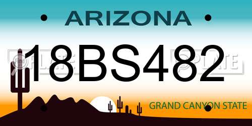 18BS482 Arizona License Plate