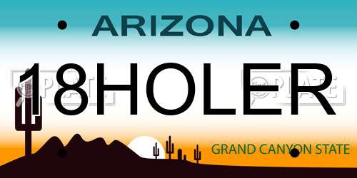 18HOLER Arizona License Plate