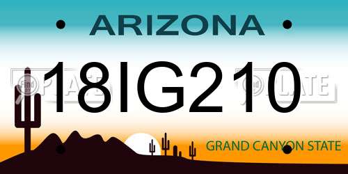 18IG210 Arizona License Plate