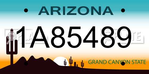 1A85489 Arizona License Plate