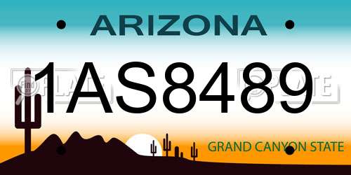 1AS8489 Arizona License Plate