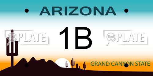 1B Arizona License Plate