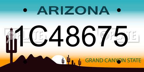 1C48675 Arizona License Plate