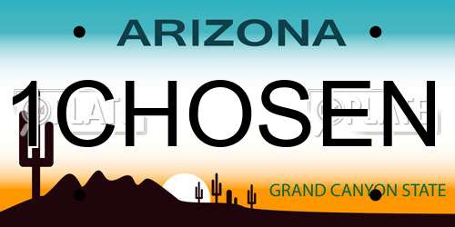 1CHOSEN Arizona License Plate