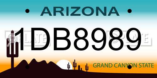 1DB8989 Arizona License Plate