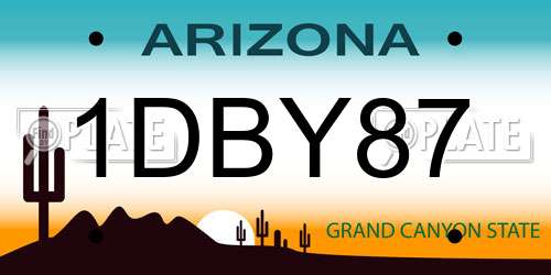 1DBY87 Arizona License Plate