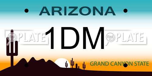 1DM Arizona License Plate